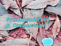 Synchronicity & Magic?
