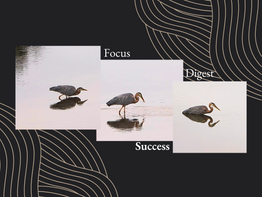 Lessons from the Pond