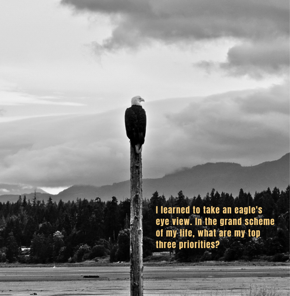 Bald eagle perched on a pole against cloudy skies and forested mountains. Yellow text reads: "I learned to take an eagle's eye view..."