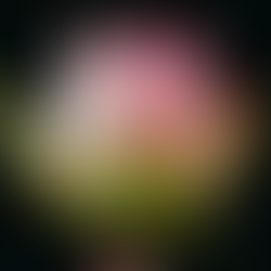 Menopause (Hella-pause)