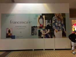 Full Color Vinyl Wall Wrap