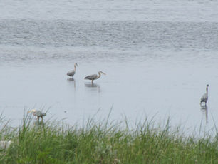 September: New Season