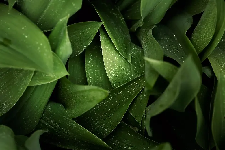 ezgif.com-gif-maker - 2023-06-04T195518.399.webp