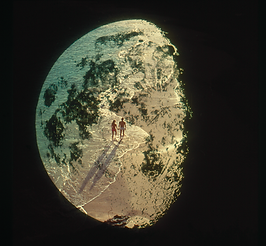 Honeymooners 20x20.png