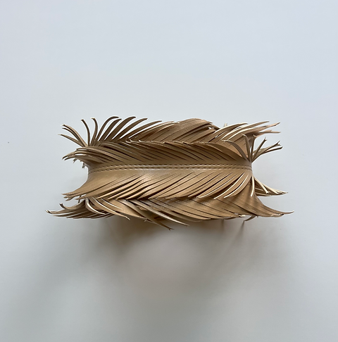 LEATHER FEATHER COLLAR