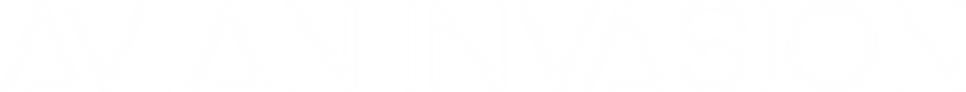 AI Nameplate - White.png