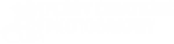 SvetleLogoWhite2.png