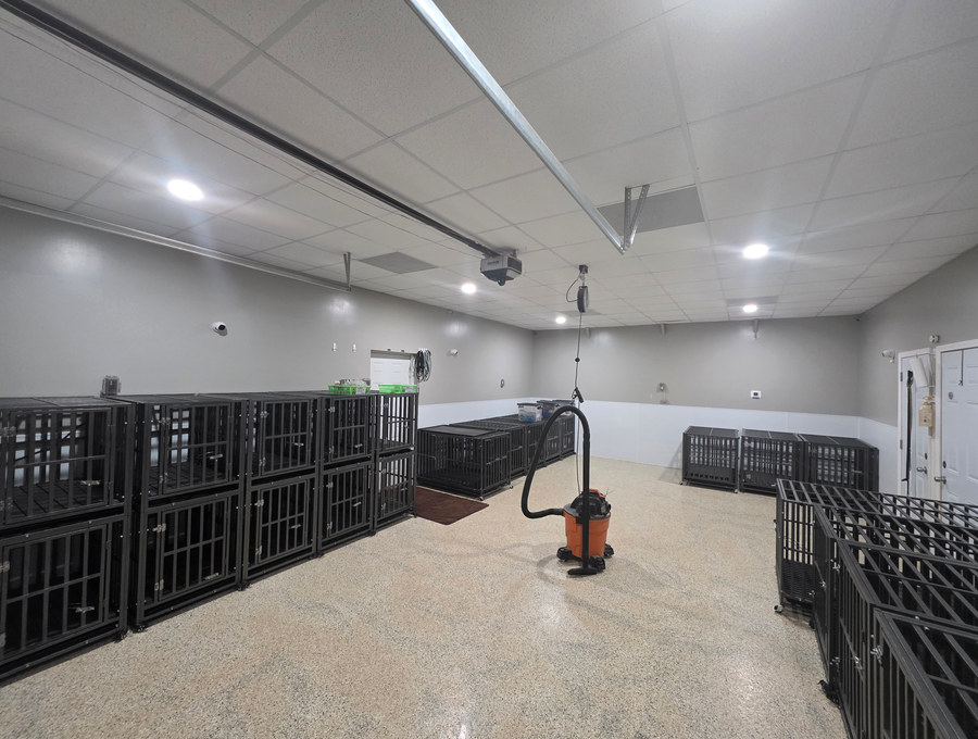 Standard boarding room at Rock Hill Pet Care