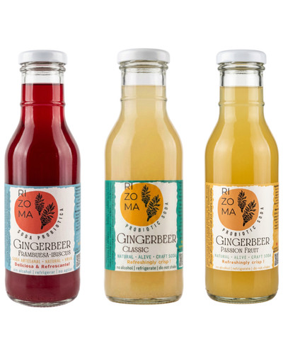 Special Offer | Case of 12 / 12oz | Rizoma Probiotic Gingerbeer