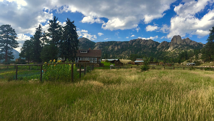 Garden Museum pano.jpeg