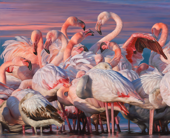 Flamingo painting by Carla Grace
