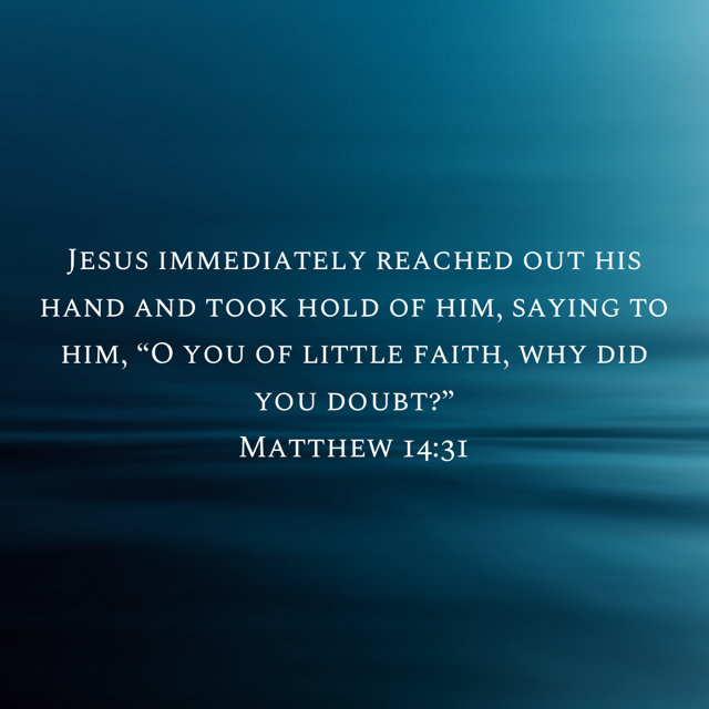 Thumbnail: Galilee Crew Neck