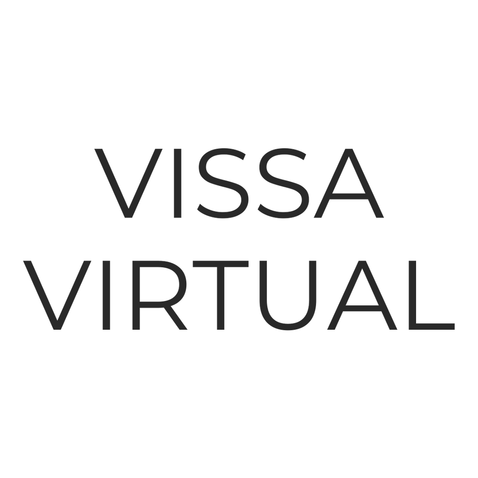Vissa Virtual Logo Variation (3).png