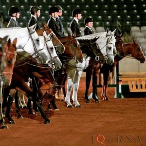 "Do I Really Belong Here?", Imposter Syndrome Insights for Equestrians from the Elevate Your Ride Ladies