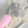 520A89AE-F2D9-48BE-A7FD-705525E2EBFC.jpg
