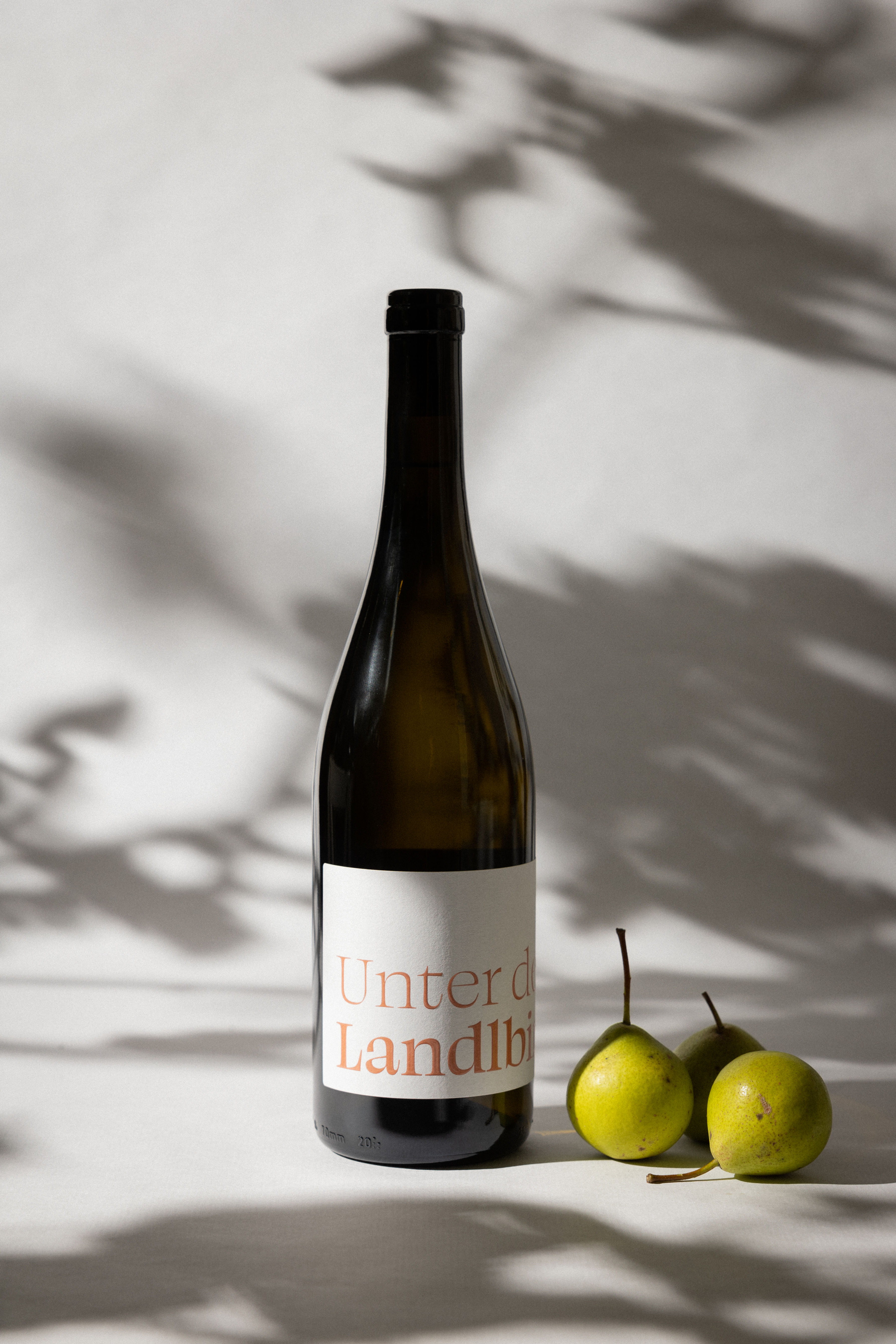 Landlbirn (born 2020)