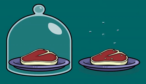 PinkPassionateIndusriverdolphin-size_res