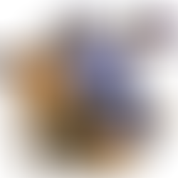 July 10, 2022 - Fifth Sunday after Pentecost