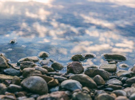 Baptism of Our Lord: January 7, 2024