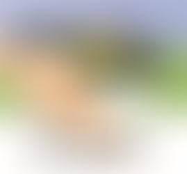 July 17, 2022 - Sixth Sunday after Pentecost