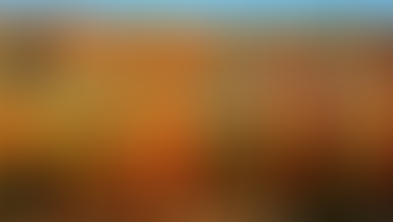 October 16, 2022 - 19th Sunday after Pentecost