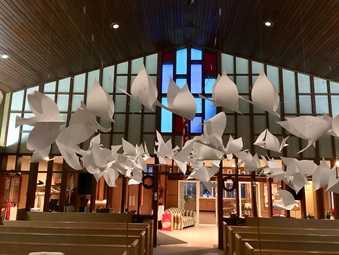 doves.jpeg