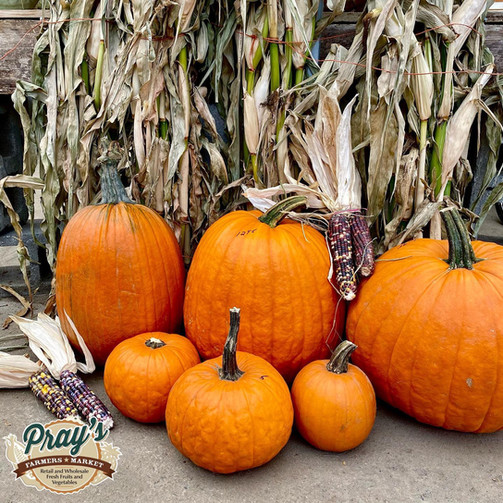 Retail Store Prays Farmers Market