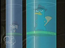 Perry in an agent tube