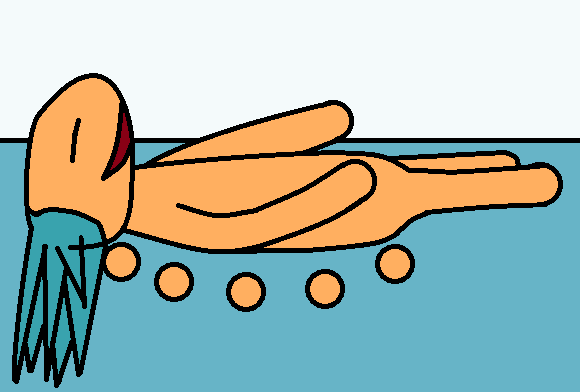 Robert Dreaming