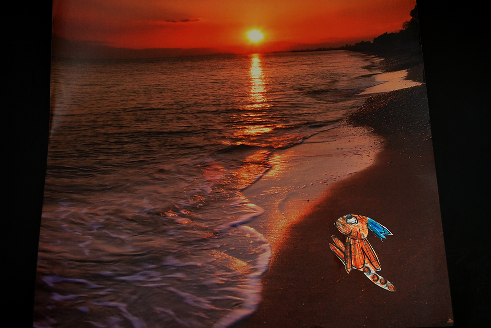 Robert Sunset