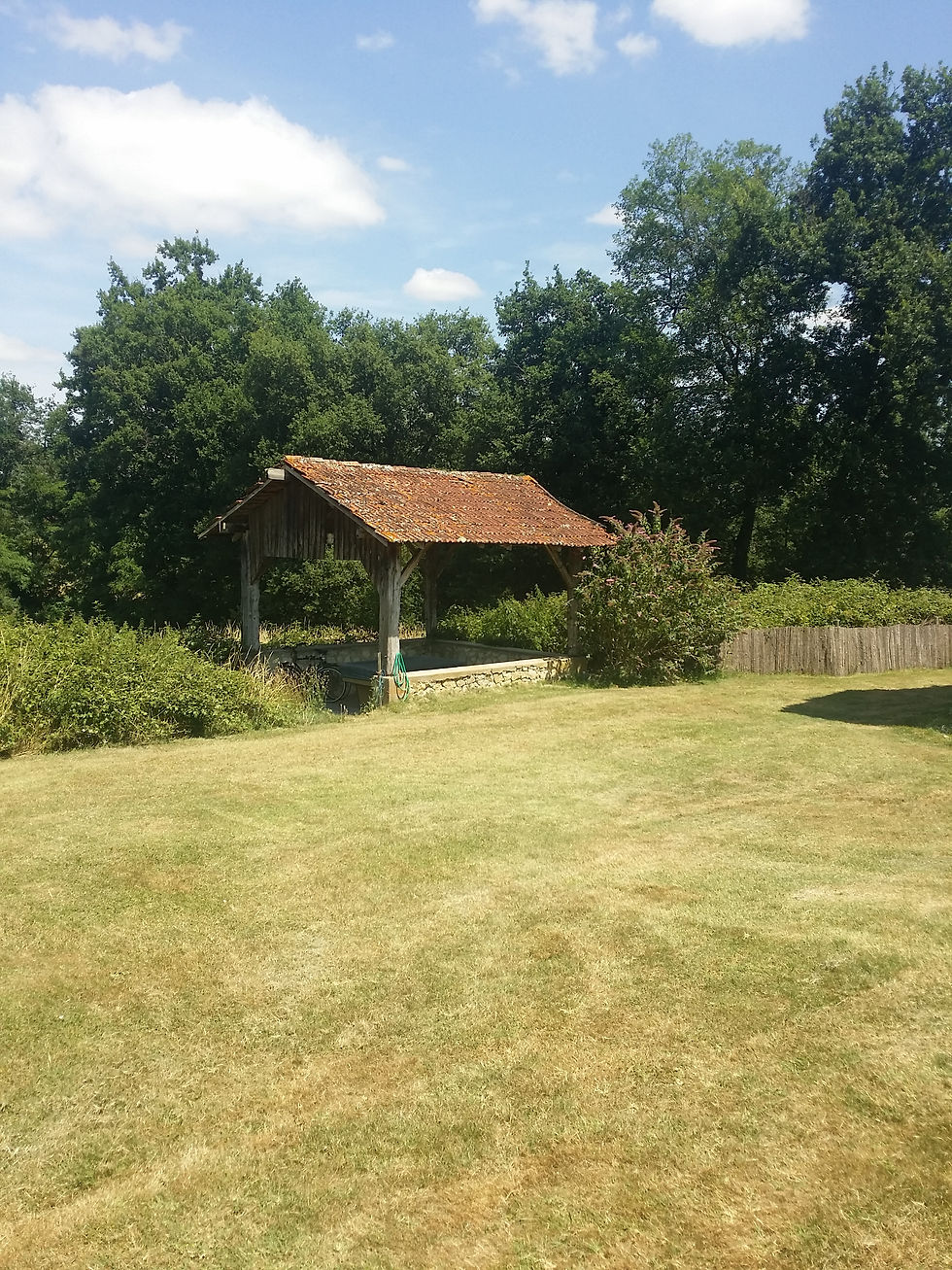 2015-07-12 13.28.52.jpg