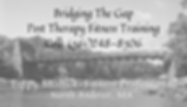 Bridging The Gap for website (2).png