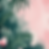 IMG_3307.png