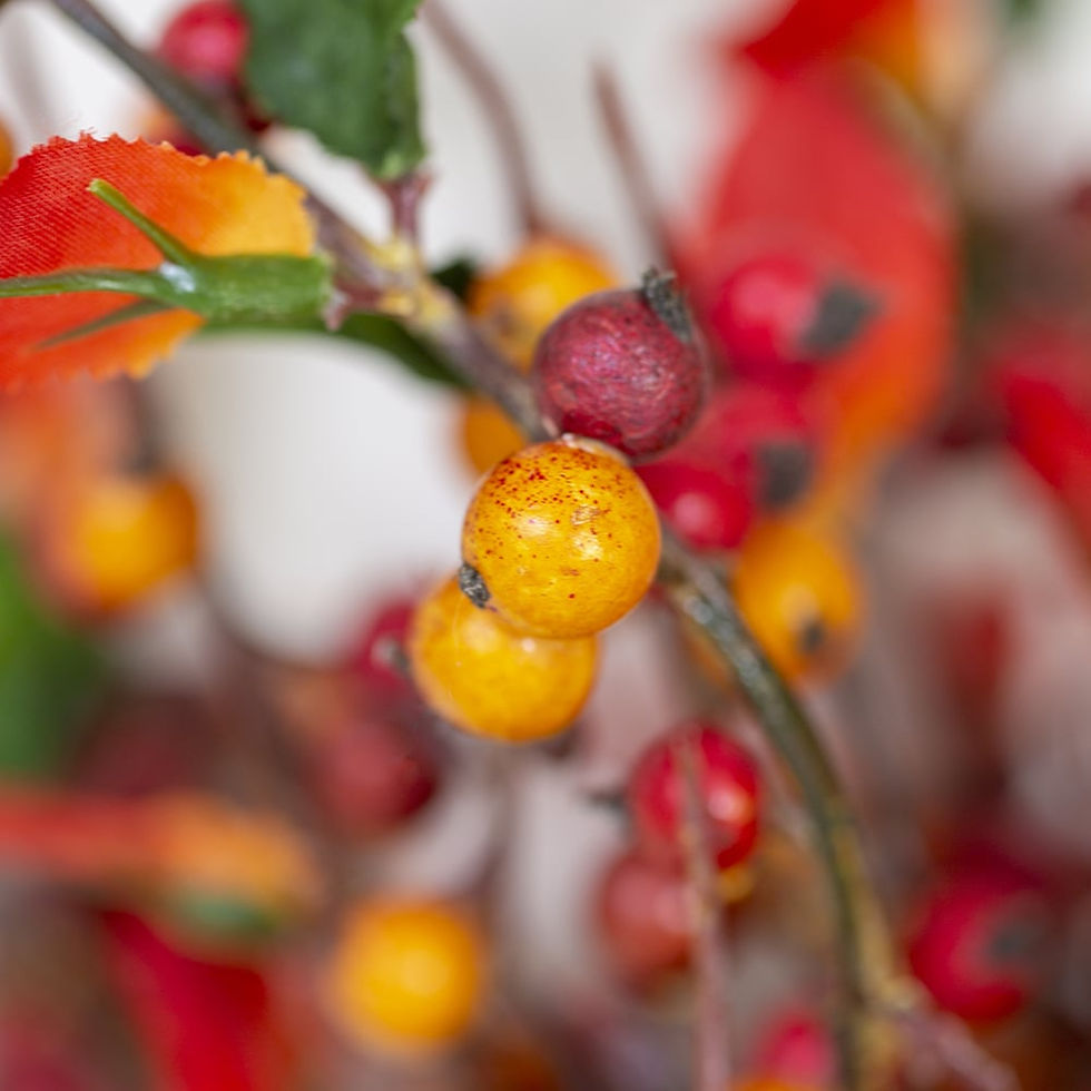 Thumbnail: Autumn Berries