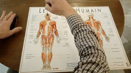 Formation radiesthésie médicale
