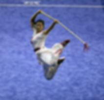 Wushu Jump Spear.jpeg