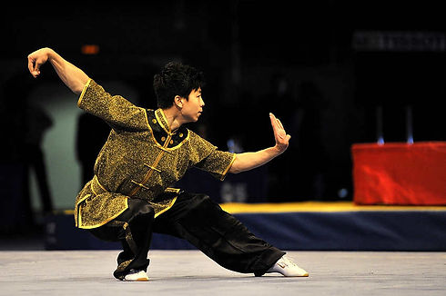 Wushu, Kung fu, los angeles, enter martial arts.jpeg