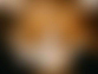 The End of Average by Nigel Roth