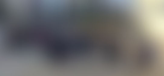 16 лютого-День єднання