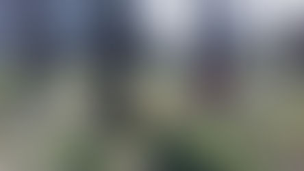 Працівники ліцею на весняній толоці