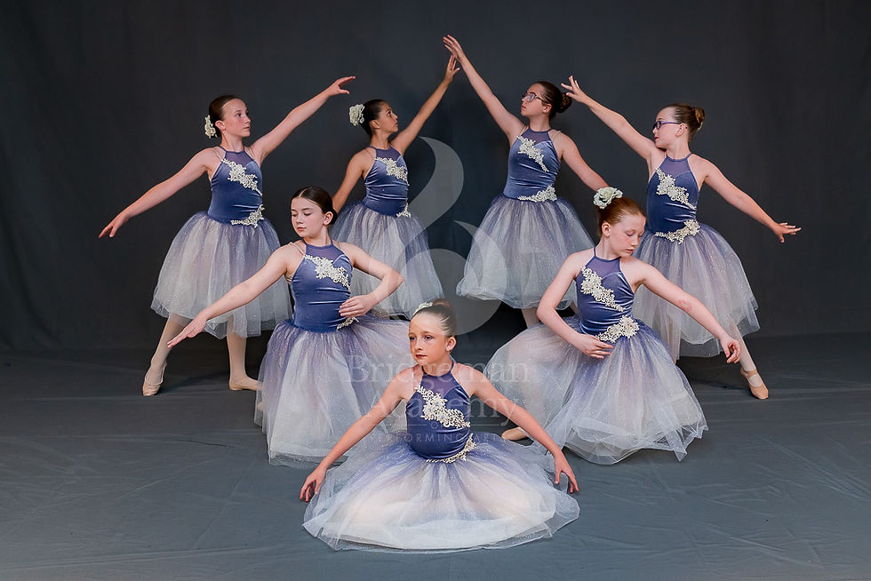 Thumbnail: 2025 Recital - Family Portrait Package