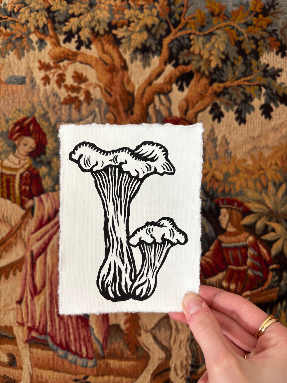 print of mushrooms