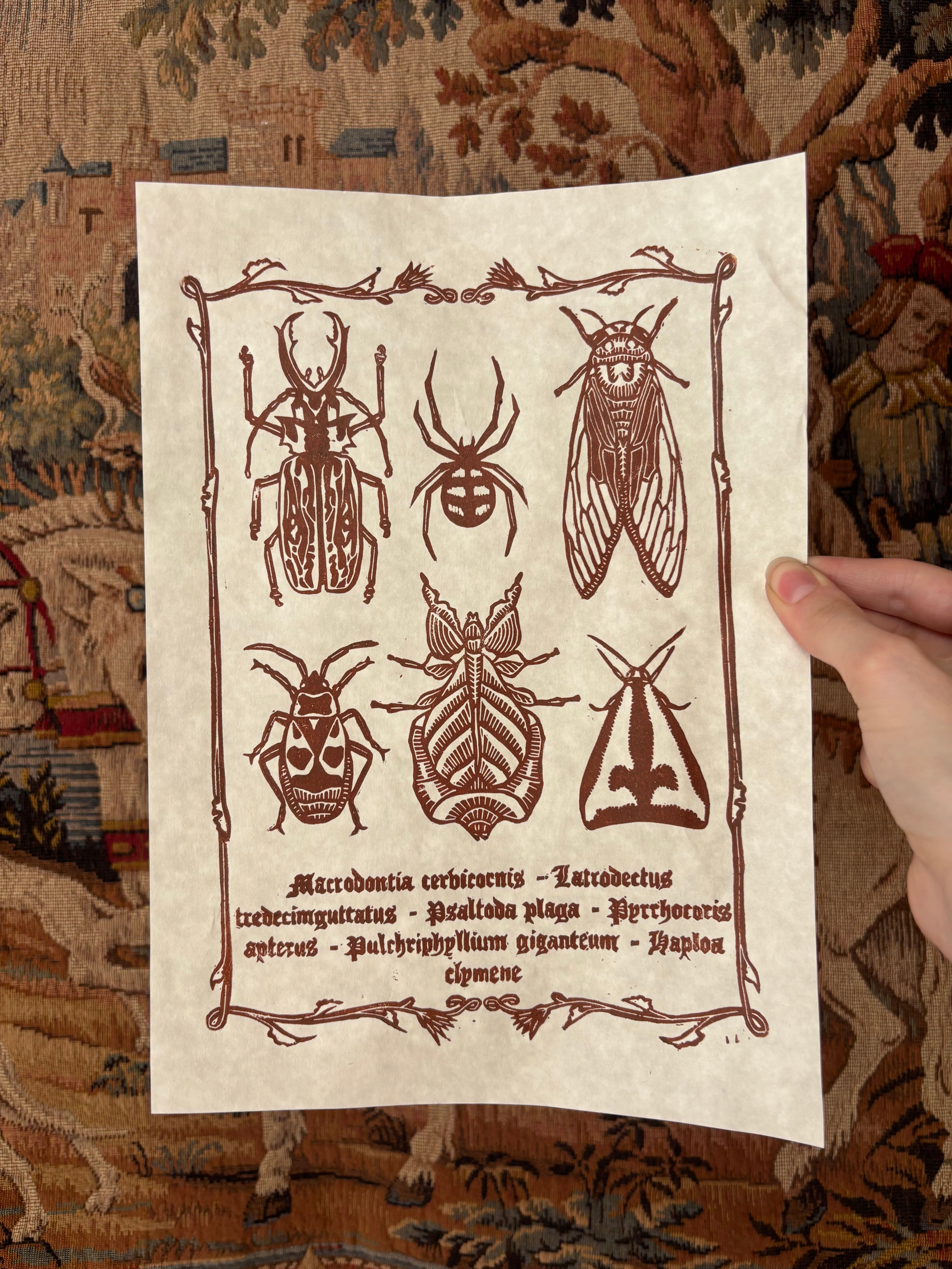 Insect poster Lino print