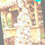 Video of Colourful floral fringed kaftan styled in a sunny tropical setting