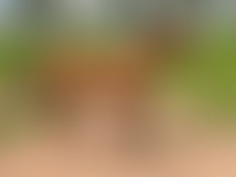 Holidays on the horizon....