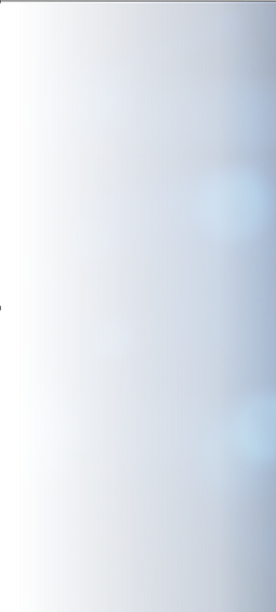 pleca1.PNG
