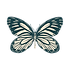Copy of Maya Harmony Logo butterfly (23).png