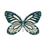 Copy of Maya Harmony Logo butterfly (23).png