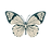 Copy of Maya Harmony Logo butterfly (22).png