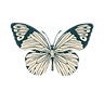 Copy of Maya Harmony Logo butterfly (22).png
